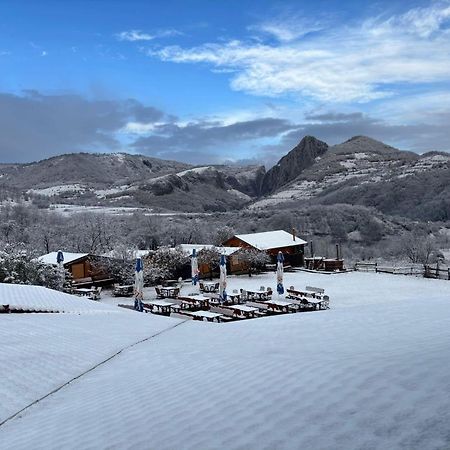 Pensiunea Bodrogeni Poiana Aiudului Exterior foto