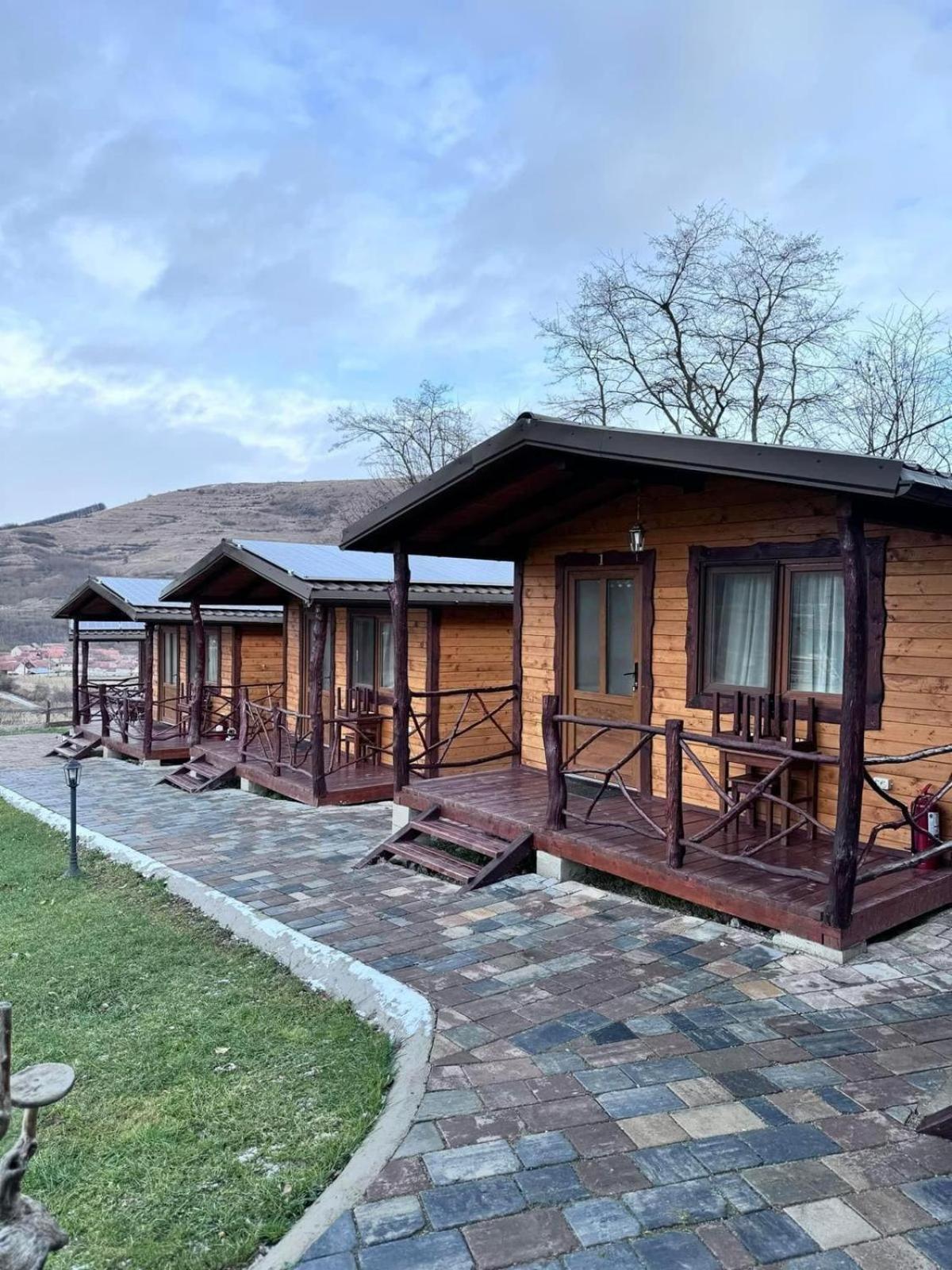 Pensiunea Bodrogeni Poiana Aiudului Exterior foto